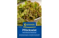 Kiepenkerl Pflücksalat Amerikaanse Roodrand