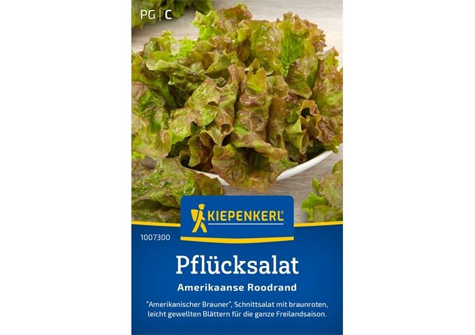 Kiepenkerl Pflücksalat Amerikaanse Roodrand