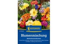 Kiepenkerl Blumenmischung Balkonkastenblumen