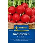 Kiepenkerl Radieschen Riesenbutter