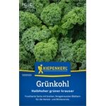 Kiepenkerl Grünkohl Halbhoher grüner