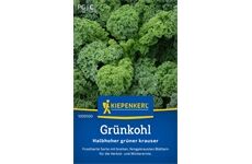 Kiepenkerl Grünkohl Halbhoher grüner