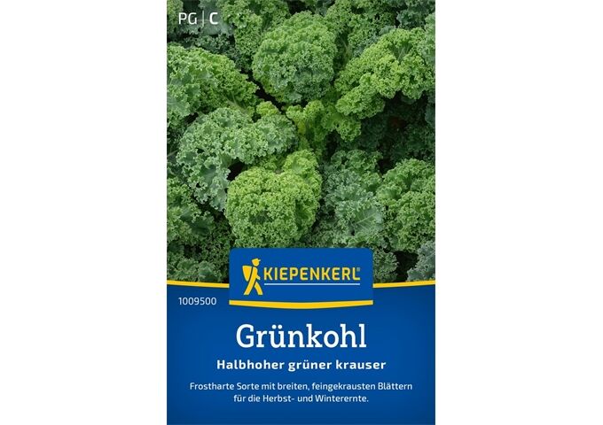 Kiepenkerl Grünkohl Halbhoher grüner
