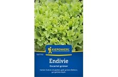 Kiepenkerl Endivie Escariol grüner