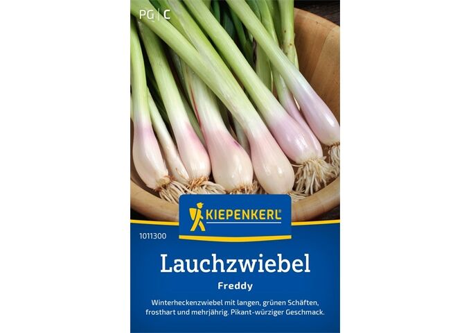 Kiepenkerl Lauchzwiebel Freddy