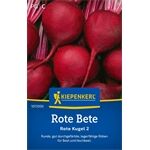 Kiepenkerl Rote Bete Rote Kugel 2