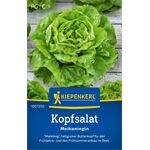 Kiepenkerl Kopfsalat Meikoningin