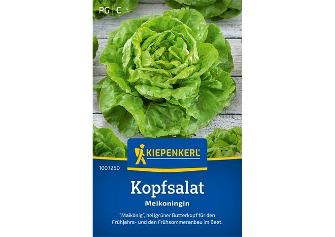 Kiepenkerl Kopfsalat Meikoningin