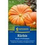 Kiepenkerl Kürbis Rouge vif d ´Etampes