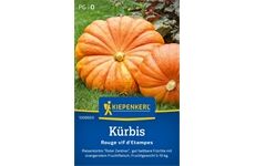 Kiepenkerl Kürbis Rouge vif d ´Etampes