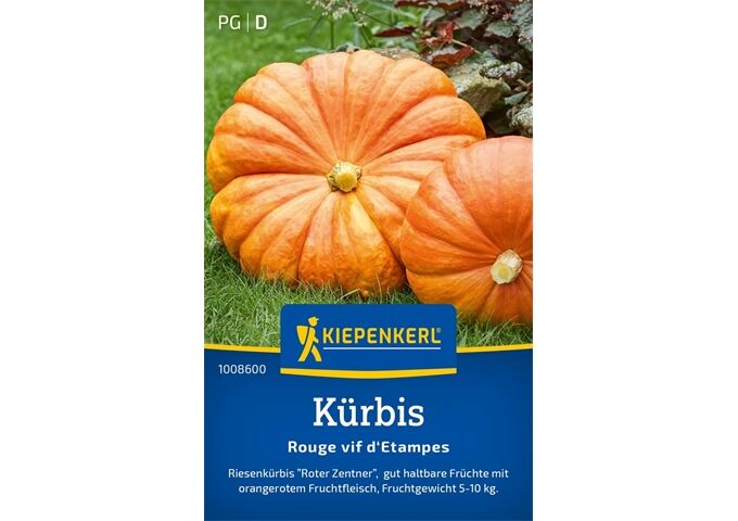 Kiepenkerl Kürbis Rouge vif d ´Etampes