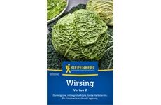 Kiepenkerl Wirsing Vertus 2