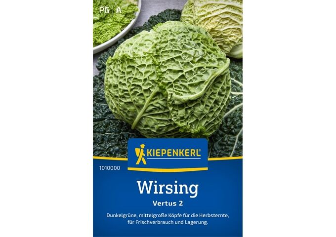 Kiepenkerl Wirsing Vertus 2