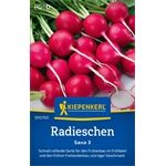Kiepenkerl Radieschen Saxa 3
