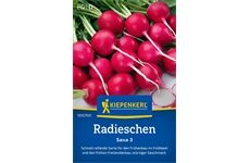 Kiepenkerl Radieschen Saxa 3