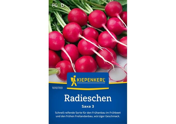 Kiepenkerl Radieschen Saxa 3