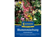 Kiepenkerl Blumenmischung Schattenblumen