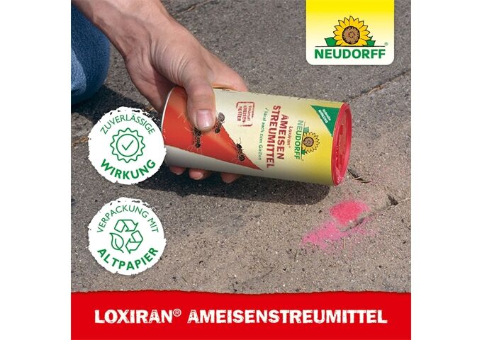 Neudorff Loxiran Ameisenmittel zum Streuen und Gießen 500 g
