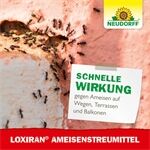 Neudorff Loxiran Ameisenmittel zum Streuen und Gießen 500 g