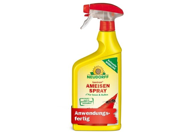 Neudorff Neudorff Loxiran AF Ameisenspray, 750 ml