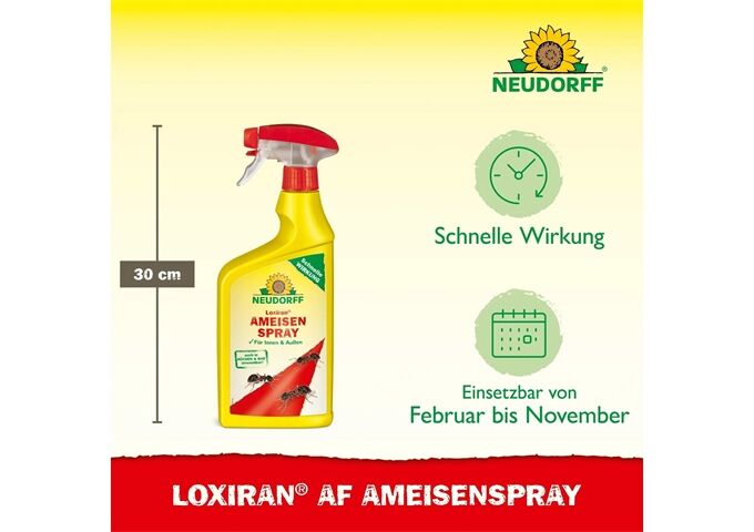 Neudorff Neudorff Loxiran AF Ameisenspray, 750 ml