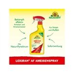 Neudorff Neudorff Loxiran AF Ameisenspray, 750 ml