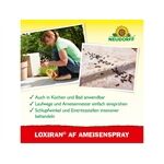 Neudorff Neudorff Loxiran AF Ameisenspray, 750 ml