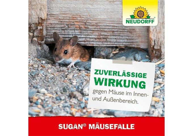 Neudorff Sugan Mäusefalle Stück