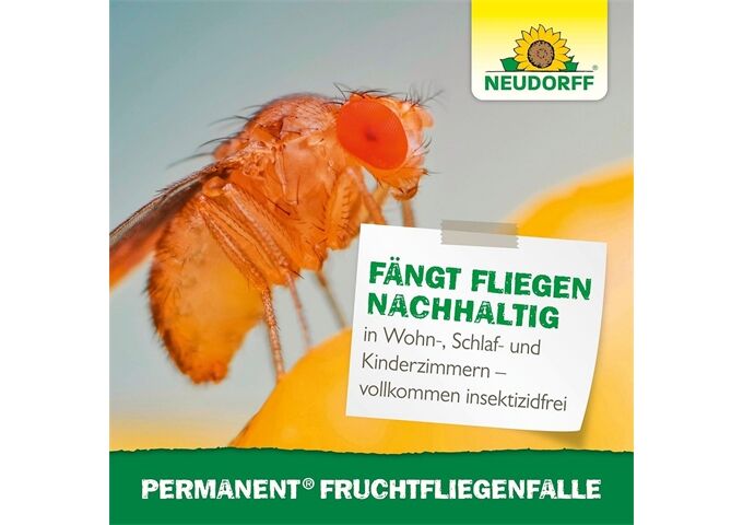 Neudorff Neudorff Permanent Fruchtfliegen Falle, 1 Stück