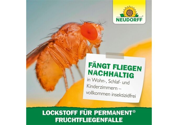 Neudorff Neudorff Permanent Lockstoff f. Fruchtfliegenfalle