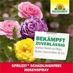 Neudorff Spruzit AF Schädlingsfrei RosenSpray 750 ml