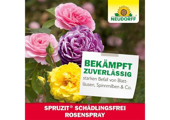 Neudorff Spruzit AF Schädlingsfrei RosenSpray 750 ml