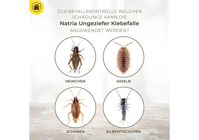 Protect Home PH Natria Ungeziefer Klebefalle, 4Stück