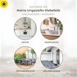 Protect Home PH Natria Ungeziefer Klebefalle, 4Stück