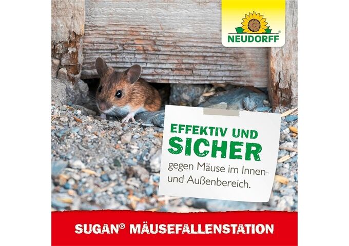 Neudorff Sugan MäuseFallenStation 1 Stück