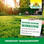 Neudorff Protectan MaulwurfStopp 200 g
