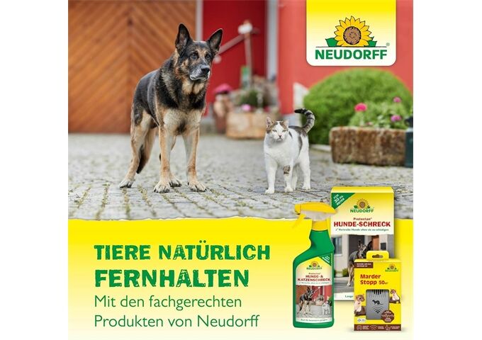 Neudorff Protectan MaulwurfStopp 200 g