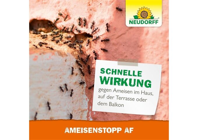 Neudorff Neudorff Ameisenstopp AF 500 ml