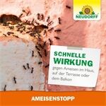 Neudorff Neudorff Ameisenstopp 200 g