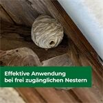 Protect Home PH Wespennest Kleber 500 ml