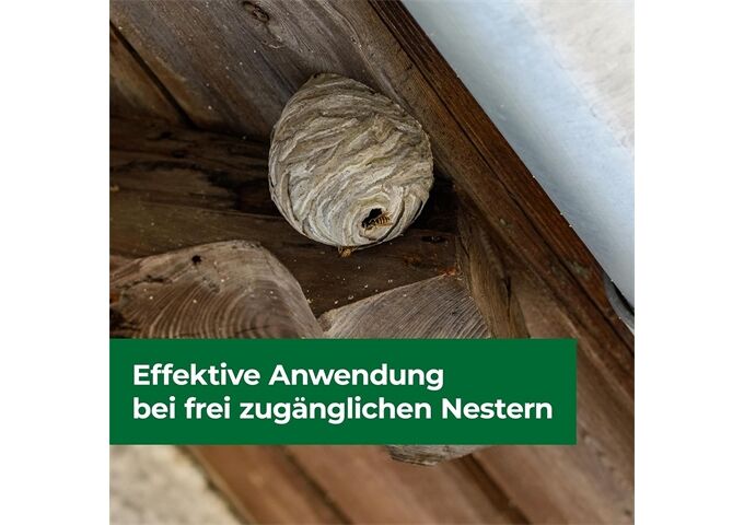 Protect Home PH Wespennest Kleber 500 ml