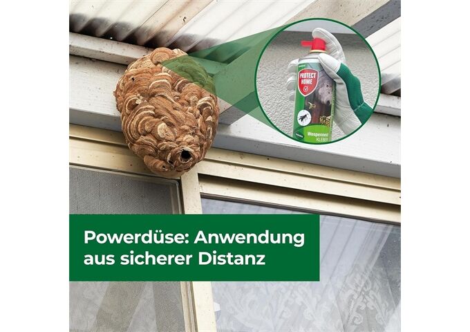 Protect Home PH Wespennest Kleber 500 ml