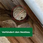 Protect Home PH Wespennest Blocker 400 ml
