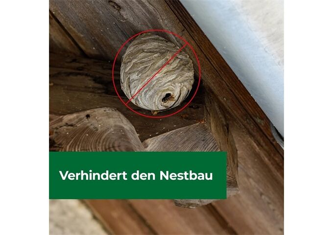 Protect Home PH Wespennest Blocker 400 ml