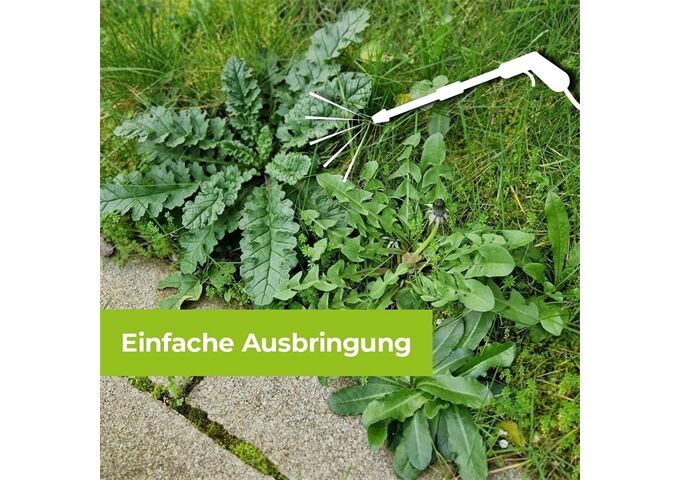 Protect Home PG Permaclean Grundstoff Acetum, 5L