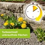 Protect Home PG Permaclean Grundstoff Acetum, 5L