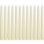  Spitzkerze 24,5x2,4cm weiß 12er